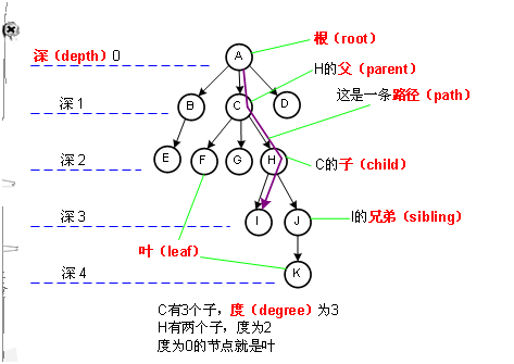 C++数据结构,面试知识